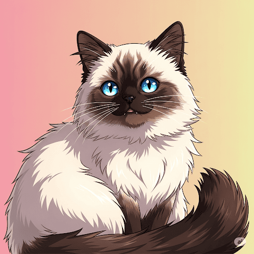 The Persian with Siamese Colors